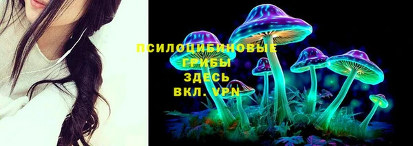 гидропоника Беломорск