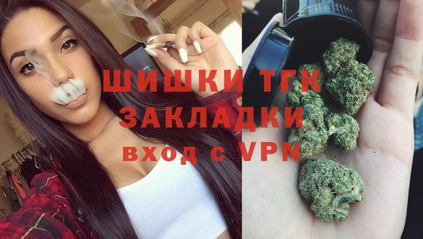 прущие грибы Белоозёрский