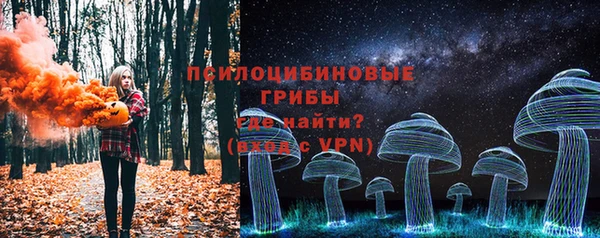 прущие грибы Белоозёрский